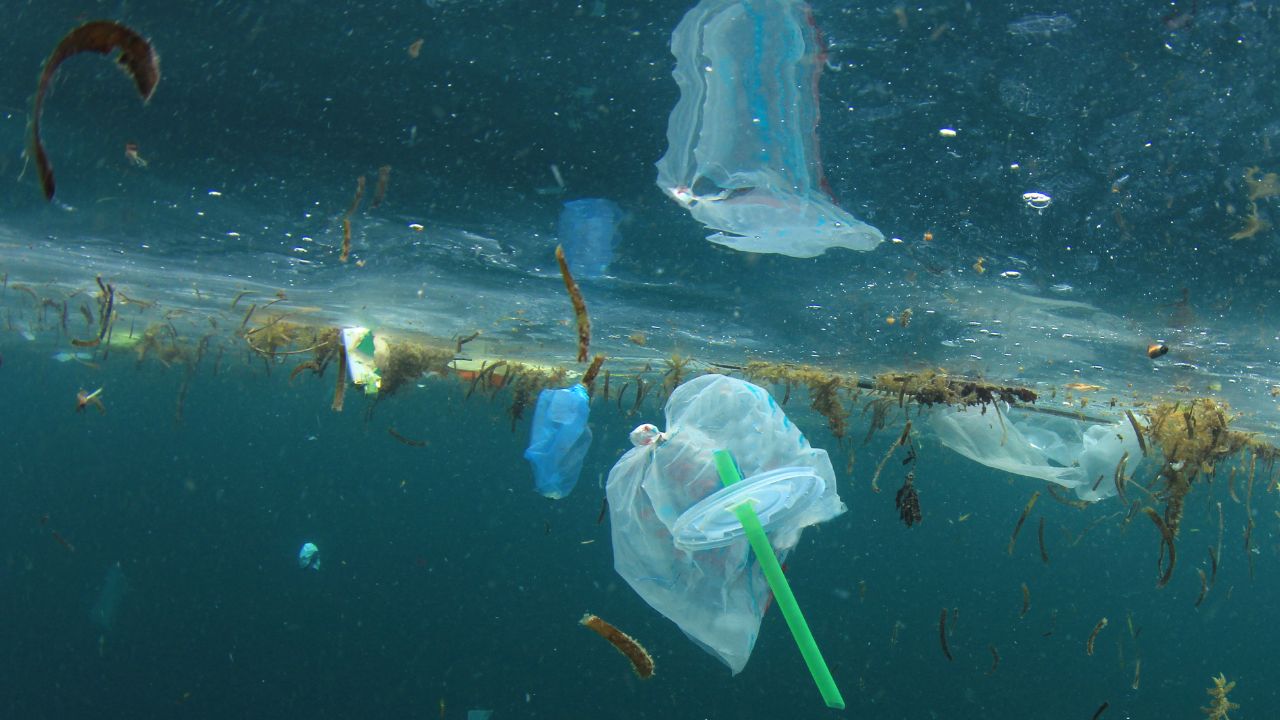 Resíduos de embalagens poluindo o mar